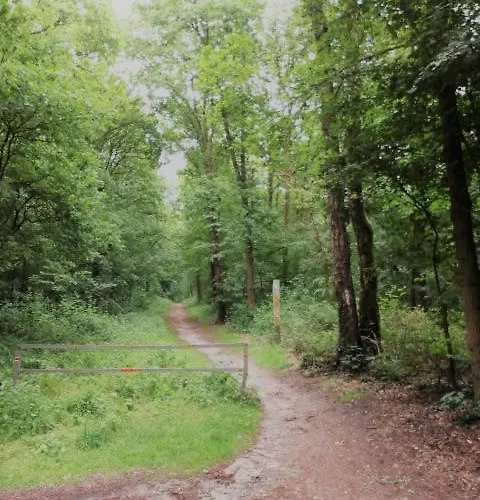 Elten Lejlighed Emmerich